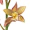Rust Red Boat Orchid Stem by Ashland&#xAE;